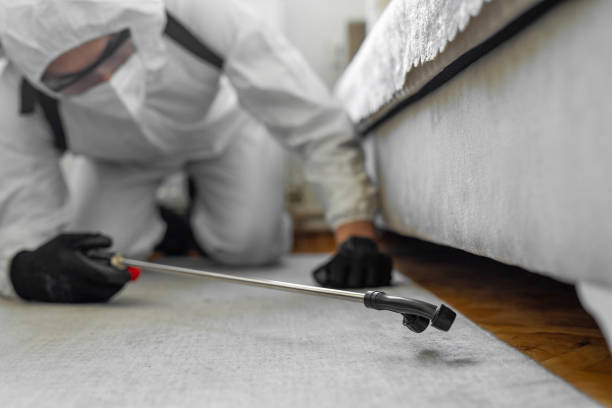 Professional Termite Control technician working in Hargill, TX