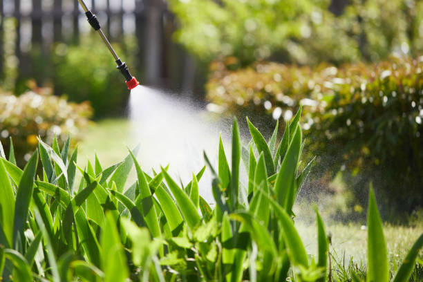 24/7 Emergency Termite Control experts in Hargill, TX