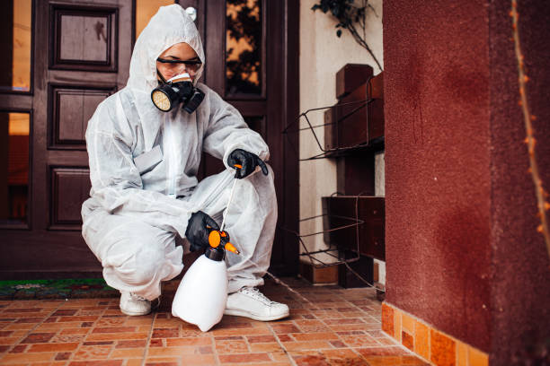 Reliable Termite Control contractor in Hargill, TX by Nex Pest Control